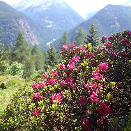 Otel Suisse Chatelard